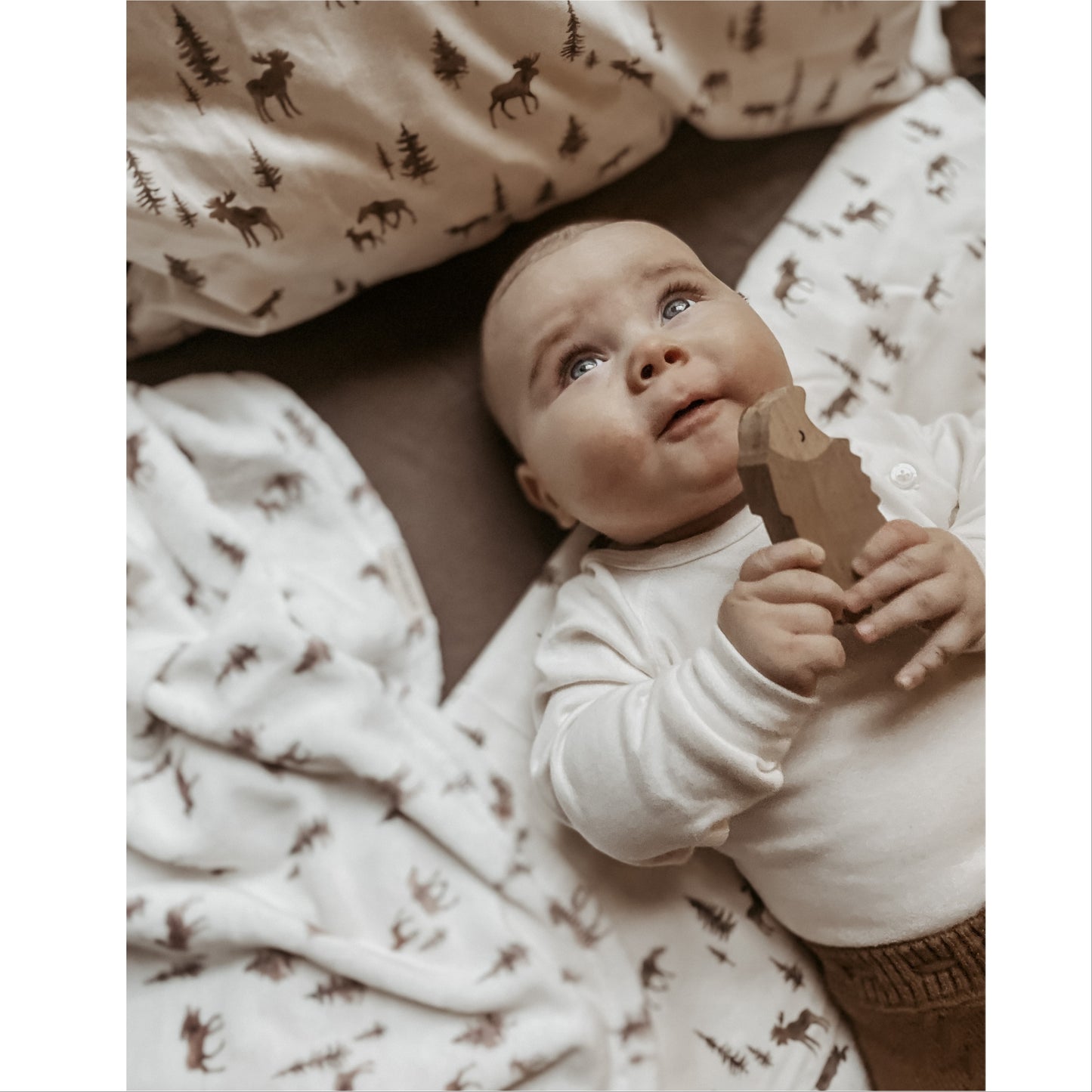 Babyteppe minky fleece 75x75, MOOSE